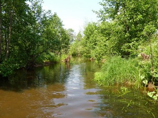 река Визирма (Михаил Калашников (Михрюша))