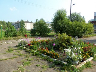 Цветник у ДК (Дмитрий Зонов)