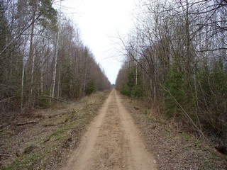 Вид в сторону р.Чепца (Сергей Шкляев)