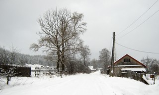 Курешники (Дмитрий Зонов)