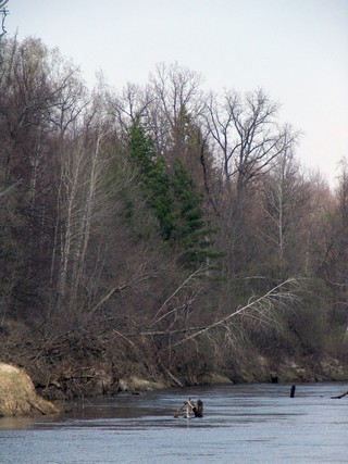 Весеннее половодье на р.Илеть\\\\\\The Spring high water on r.Ilet (WERMUT)