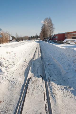 Дорога Каринторф-р.Чепца, узкоколейка (Юрий Зыкин)