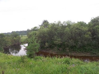 Pushma river. Изгиб Пушмы.  (Pavel Ermolaev)