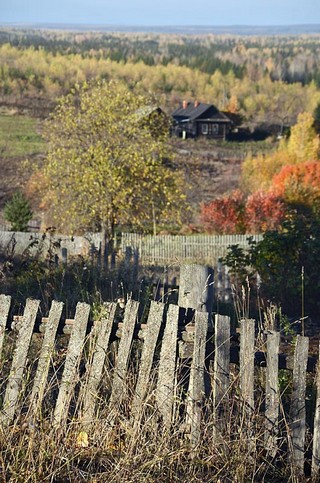 д.Волосница (Денис Логиновский (denlog))